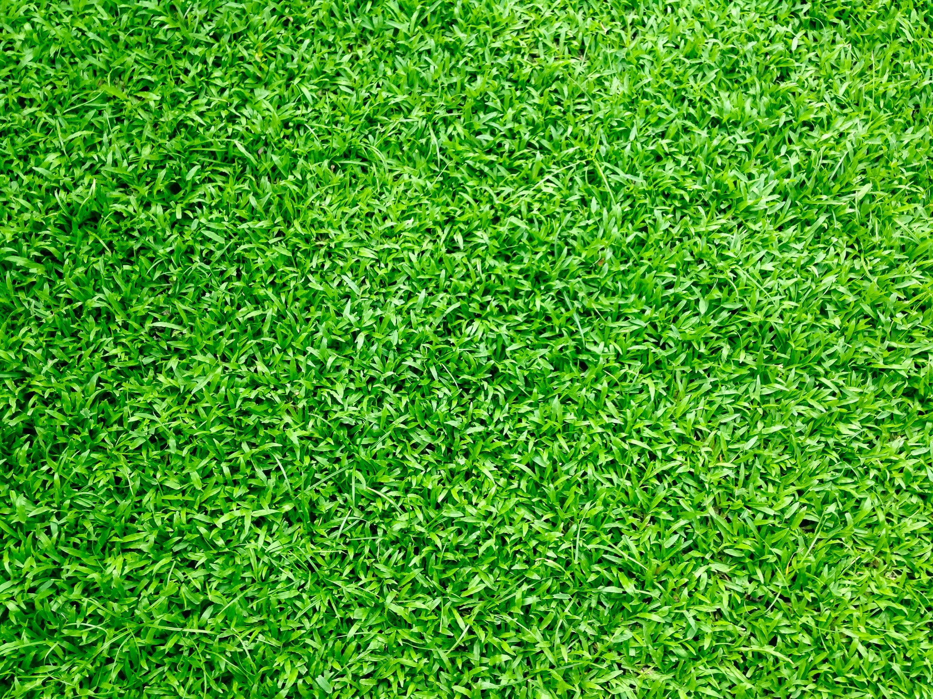 Grounds Maintenance Services